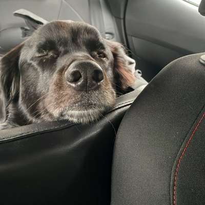 Auto fahren-Beitrag-Bild