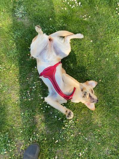 Fotochallange 84-Beitrag-Bild