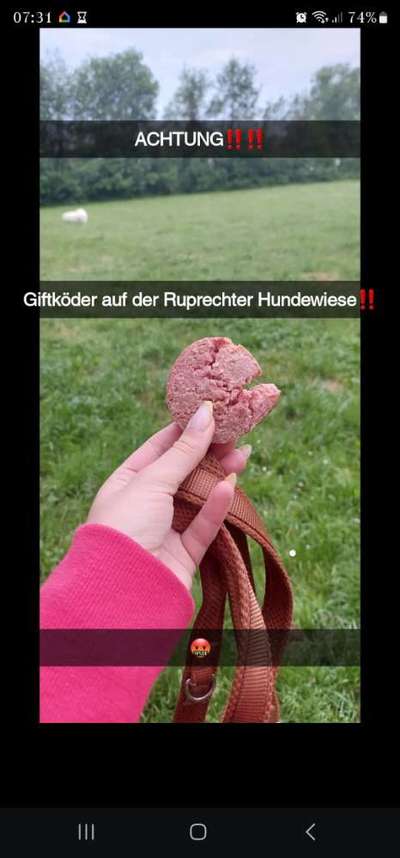 Giftköder-Giftköder-Bild