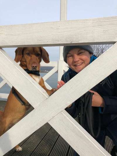 Dogorama Photo Challenge - Brücken-Beitrag-Bild