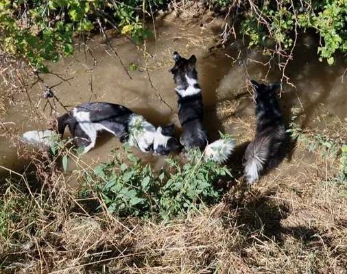 Theos Fotochallange Nummer 4-Beitrag-Bild