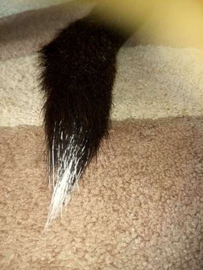 Blick fürs Detail!-Beitrag-Bild