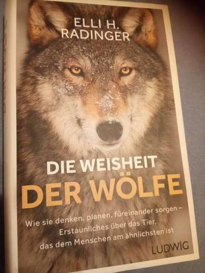 Hunde-Fachliteratur-Beitrag-Bild