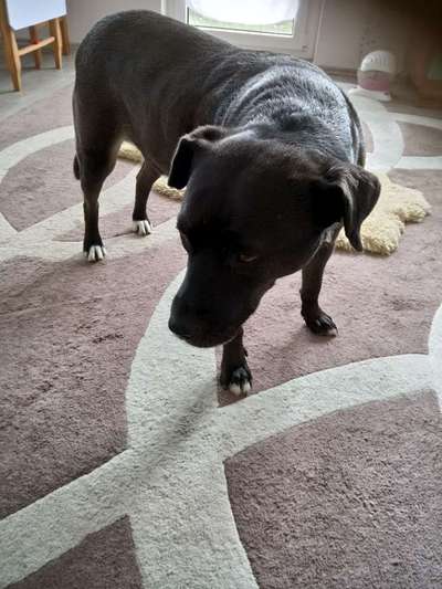 Blick fürs Detail!-Beitrag-Bild