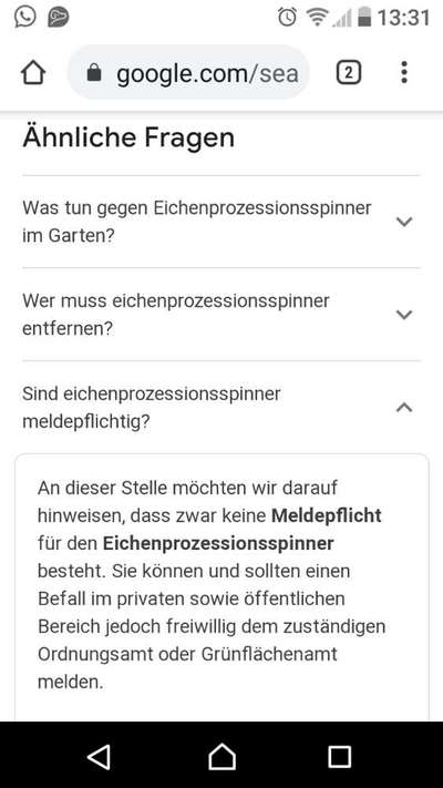 Eichenprozessionsspinner?-Beitrag-Bild