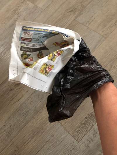Wohin bloß mit den Kackebeutelchen?-Beitrag-Bild