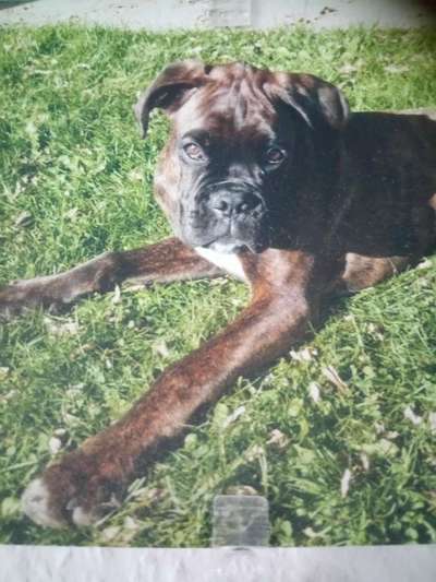 Unsere Sternchen ******-Beitrag-Bild