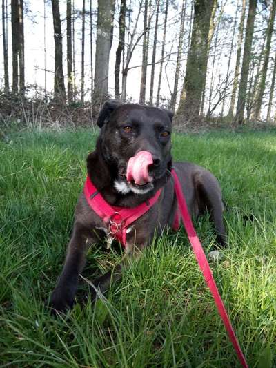 Lieblingsbild :D-Beitrag-Bild