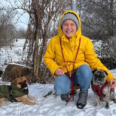 Hundetreffen-Gassi gehen-Bild