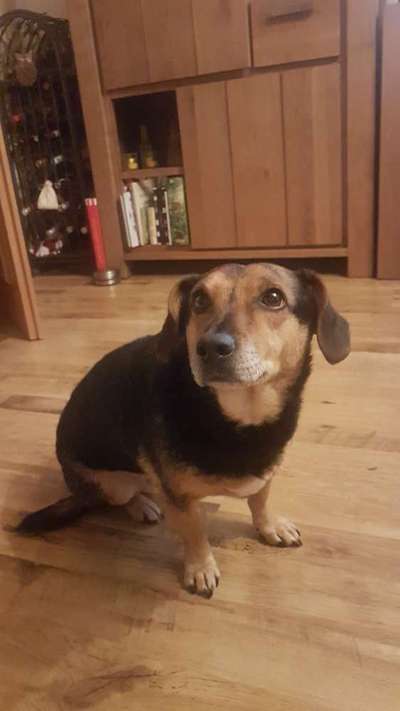 Fotochallenge Nr. 67: Euer Lieblingsbild-Beitrag-Bild