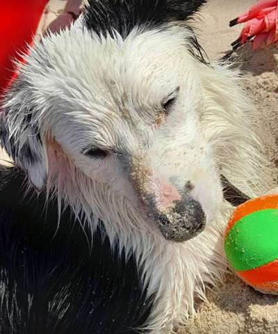 Fotochallenge Nr. 67: Euer Lieblingsbild-Beitrag-Bild