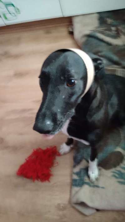 Un...scharf Bilder-Beitrag-Bild