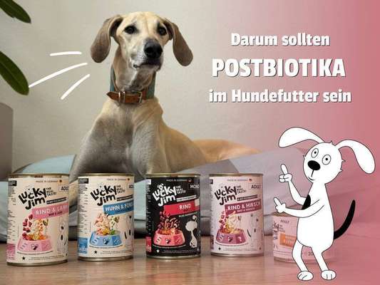 Blog- Postbiotika für Hunde: Warum sie sinnvoll sind und wo du sie findest | Lucky Jim klärt auf-Bild