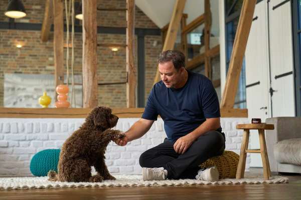 Blog-Die Wahrheit über Hundeshampoo: Dein Hund ist kein Fußboden - Warum Petchen die Lösung für gesunde Haut und glänzendes Fell ist 🐶-Bild