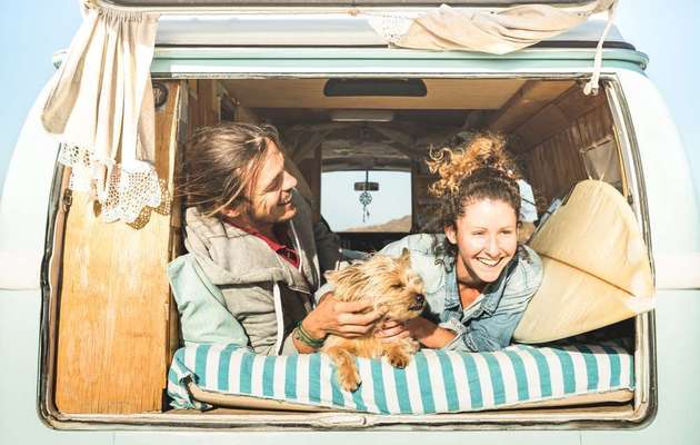 Presse-Reiselust auf vier Pfoten: Wer fährt überhaupt mit Hund in den Urlaub?-Bild