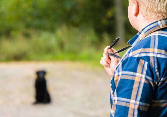 Blog-Das Training mit der Hundepfeife  die Anleitung für Beginner-Bild