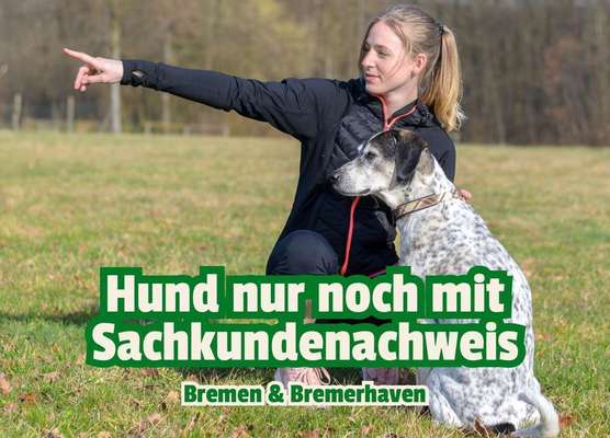 Blog-Pflicht ab 2026: Bremen führt den Hundeführerschein ein – das musst du wissen-Bild