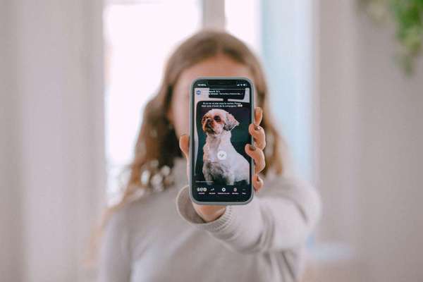Jobs-Paid Social (App Campaigns) – Meta & TikTok (m/w/d) als Freelancer-Bild