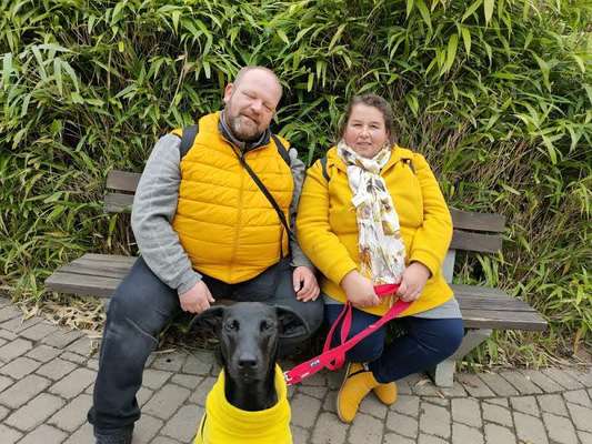 Windhunde - Treffen der besonderen Schönheiten
HERZLICH WILLKOMMEN-Beitrag-Bild