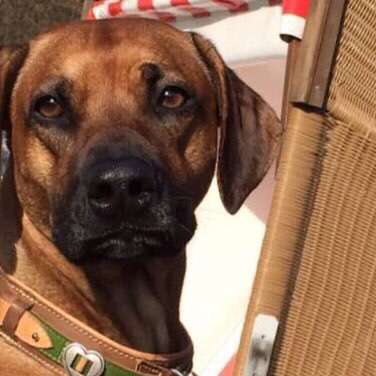 Fotochallange Nr. 57     PORTRÄT.   Beendet!!!!!!!!-Beitrag-Bild