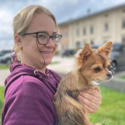 Giftköder-Hundebetreuung in Laim-Bild