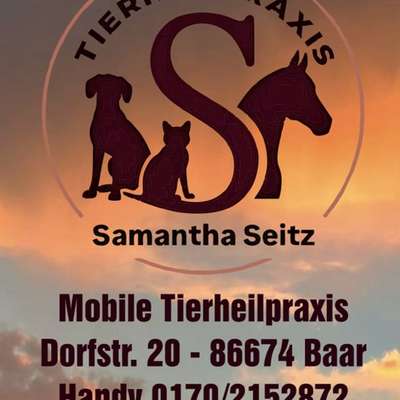 %{de_profession_title}-Ganzheitliche Tiertherapie-Bild