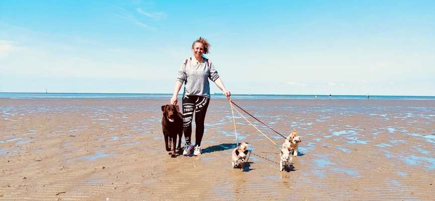 Mehrhundehalter!-Beitrag-Bild