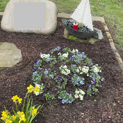 Giftköder-Verm. Schneckenkorn auf freiem Grab-Bild