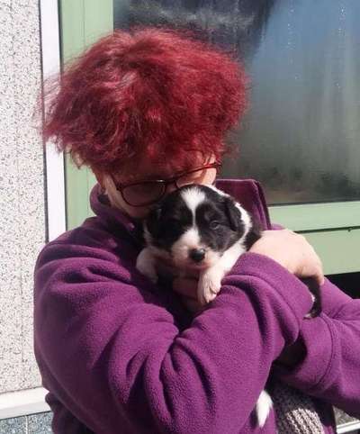 Das erste Foto-Beitrag-Bild