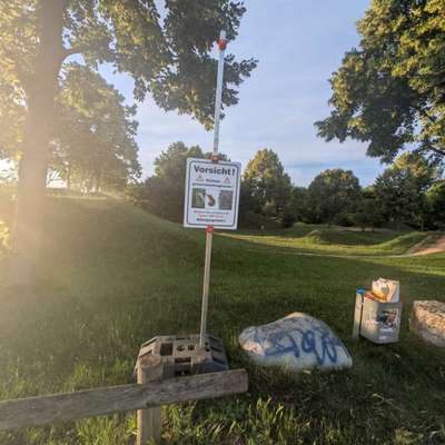 Giftköder-Prozessionsspinner-Bild