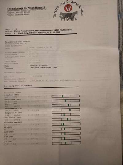 großes Blutbild-Beitrag-Bild