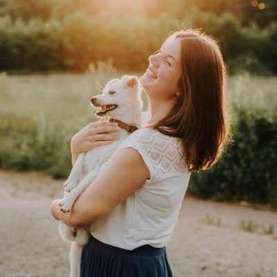 Hundetreffen-Kennenlernen Gassirunde