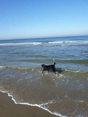 Urlaub am Meee-Beitrag-Bild