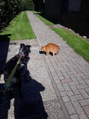 Urlaub am Meee-Beitrag-Bild