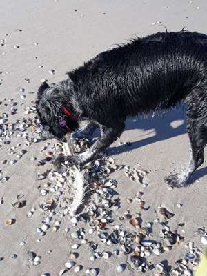 Urlaub am Meee-Beitrag-Bild