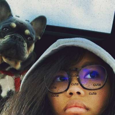 Lustige Bilder-Beitrag-Bild