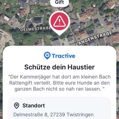 Giftköder-Rattengift-Bild