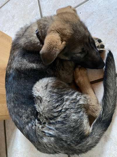 CHALLENGE NR. 34 - Liege-/Schlafpositionen-Beitrag-Bild