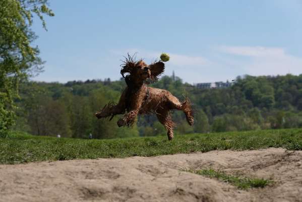 Lieblingsbild-Beitrag-Bild