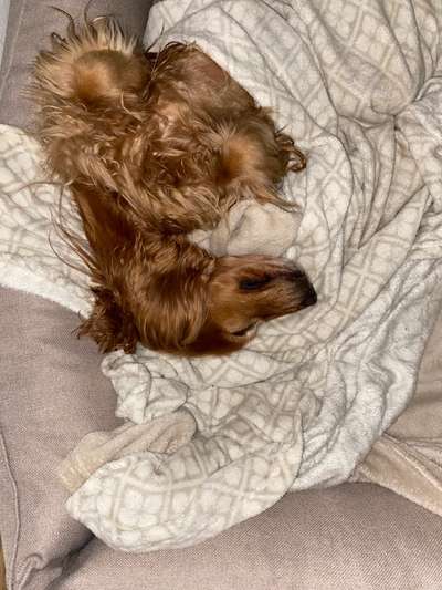 Schlafzeit!💖-Beitrag-Bild