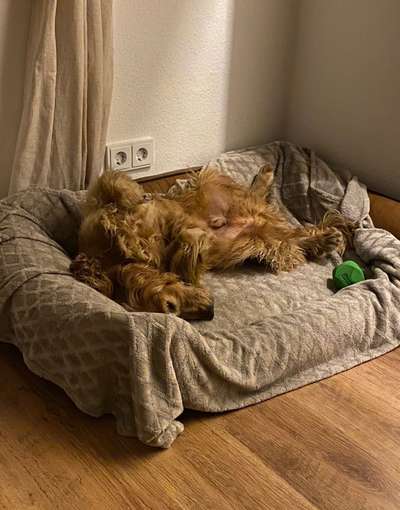 Foto Challenge - Zeigt her eure Bäuche-Beitrag-Bild