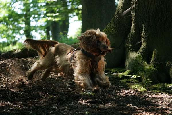 Foto Challenge Nr. 79-Beitrag-Bild