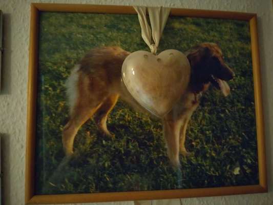 Jemand nette Idee für Milchzähnchen?-Beitrag-Bild