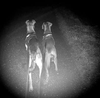 Challenge 30  Freundschaft-Beitrag-Bild