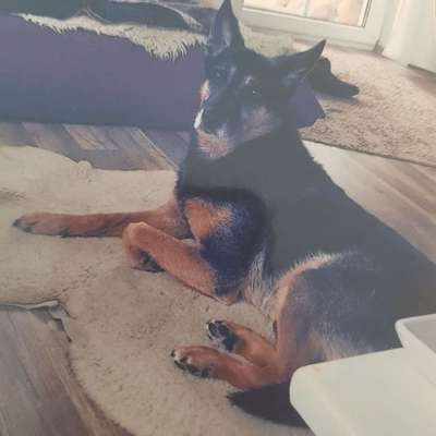 Unsere Sternchen ******-Beitrag-Bild