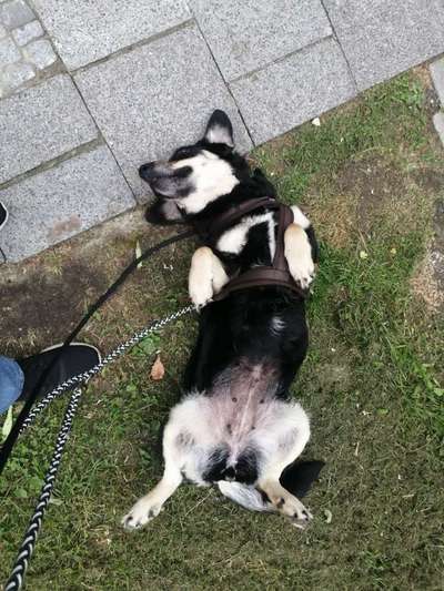 Kein Urinabsatz. Was tun?-Beitrag-Bild