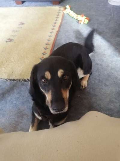 Kein Urinabsatz. Was tun?-Beitrag-Bild