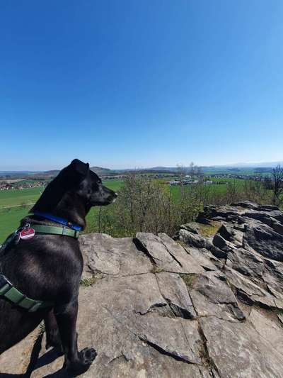 Fotowettbewerb Natur-Beitrag-Bild