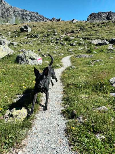 Fotochallenge Nr.100 Urlaubsimpressionen-Beitrag-Bild