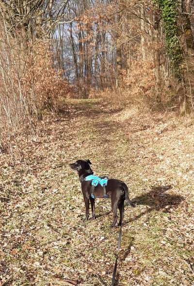 Foto Challenge Nr. 79-Beitrag-Bild